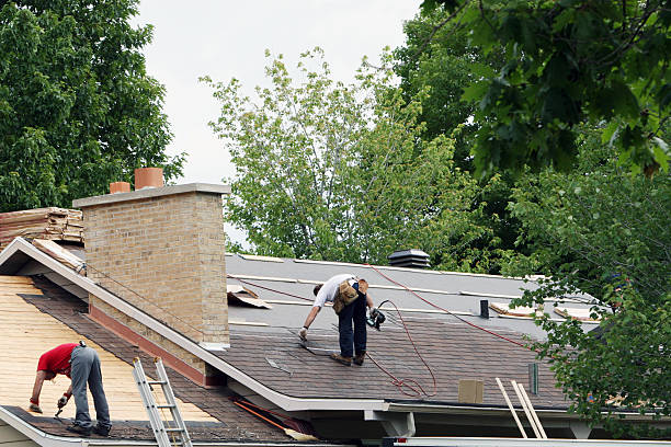 Best Roof Gutter Cleaning  in Point, TX